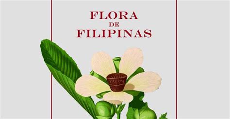 Flora of the Philippines .